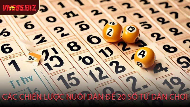 Các Chiến Lược Nuôi Dàn Đề 20 Số Từ Dân Chơi