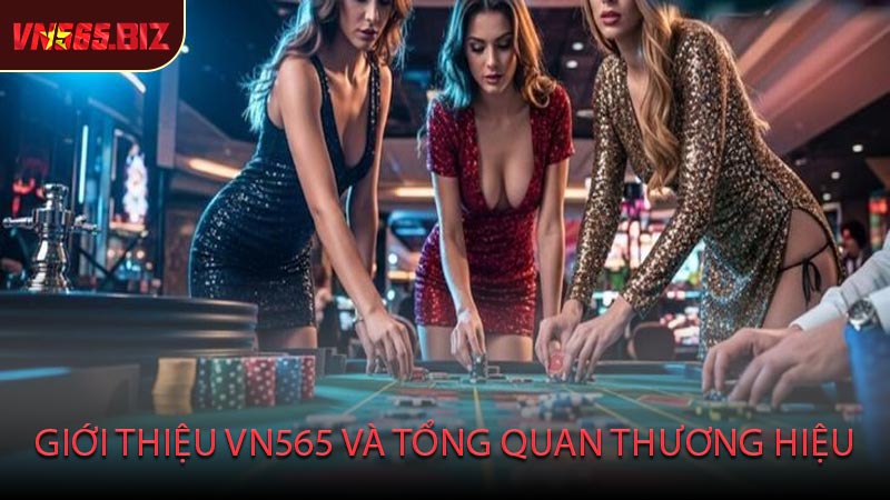 Giới thiệu VN565 và tổng quan thương hiệu